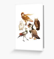 PokéBirds of Prey I Greeting Card