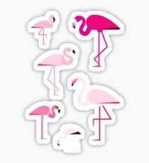 Flamingos Sticker