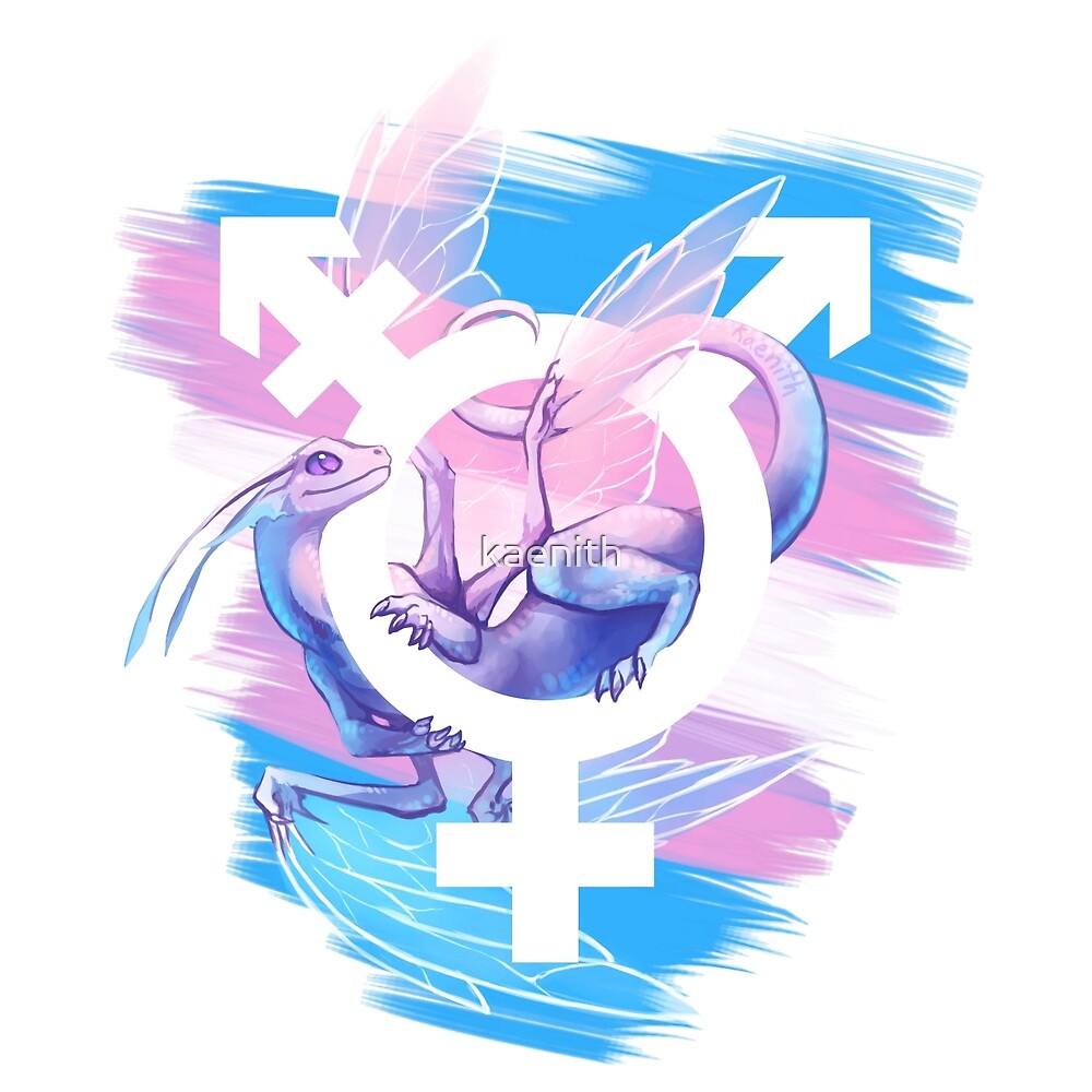 "Trans Pride Dragon" by kaenith  Redbubble