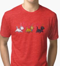 Kitten Trio Tri-blend T-Shirt