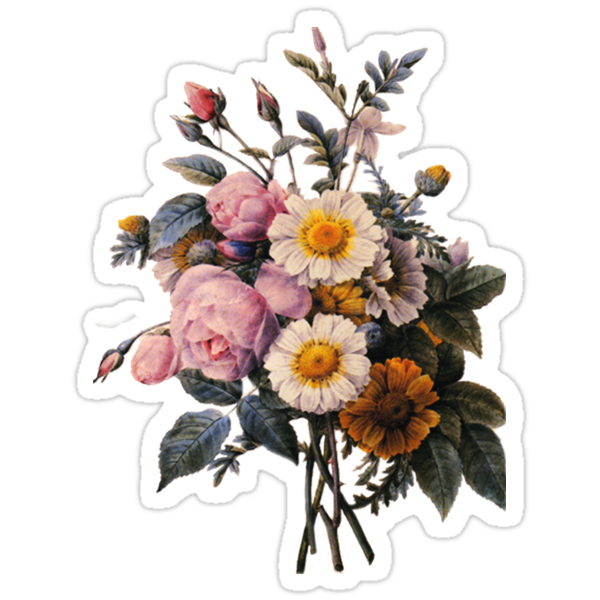 "vintage botanical art, beautiful yellow daisy and pink ...