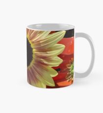 Sunflower Close-up, Santa Fe, New Mexico Classic Mug