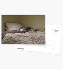 Totoro my friend Postcards
