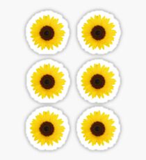 Six Sunflowers Sticker