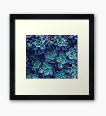 Succulents Framed Print