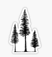 Fir's Sticker