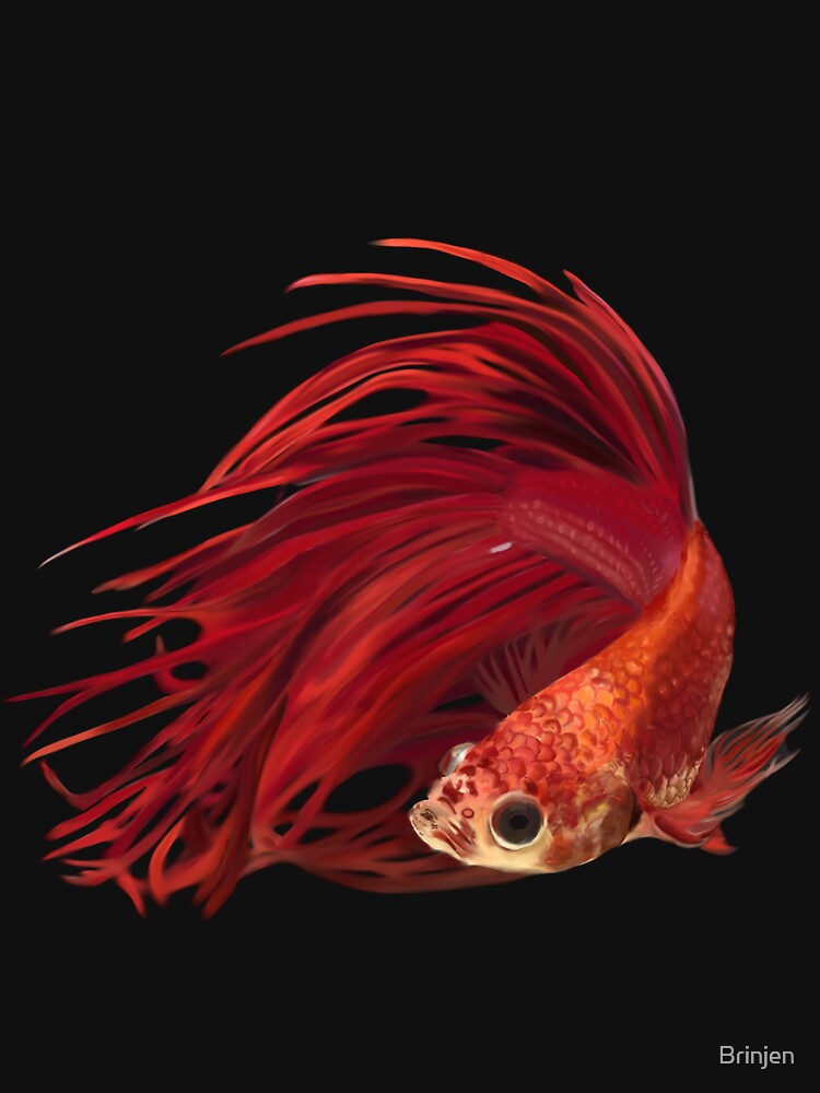 FanTail by Brinjen