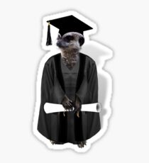 Meerkat Graduate Sticker