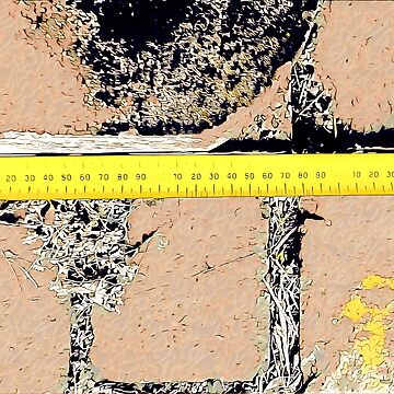 Measure Up - Vintage Retro Seamstress Measuring Tape | Poster