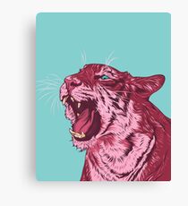 Magenta tiger Canvas Print