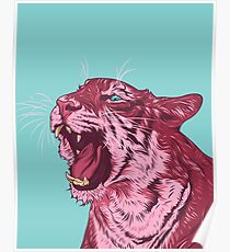 Magenta tiger Poster