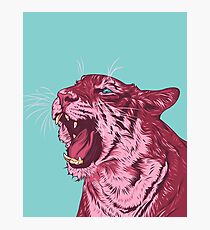 Magenta tiger Photographic Print