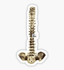 Out of Order Spine Sticker