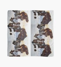 Dancing in the Light Scarf