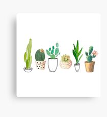 Potted Cacti Leinwanddruck
