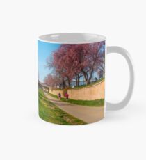 Cherry Creek Mug