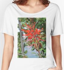 Chilean Firetree Women's Relaxed Fit T-Shirt