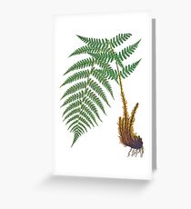 Vintage - TIR-Fern Greeting Card
