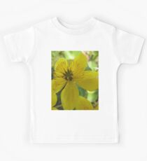 Beautiful buttercup in nature Kids Tee