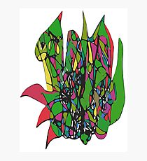 amphibian Photographic Print