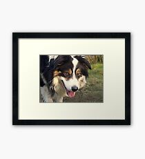 Butter wouldn't melt.... Framed Print