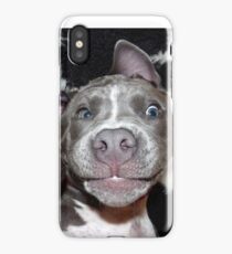 Silly, Baby, Blue Pit Bull Puppy Dog iPhone Case