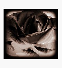 Gloom Photographic Print