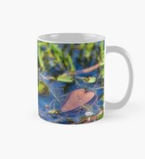 First Frog of Spring Mug