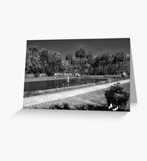 The Pond in B&W Greeting Card