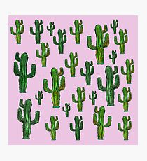 Pink Cactus Print Photographic Print