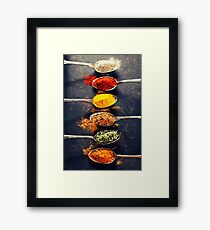 Colorful spices in metal spoons Framed Print