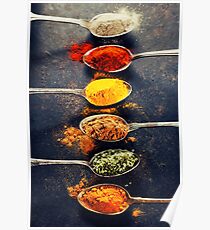 Colorful spices in metal spoons Poster