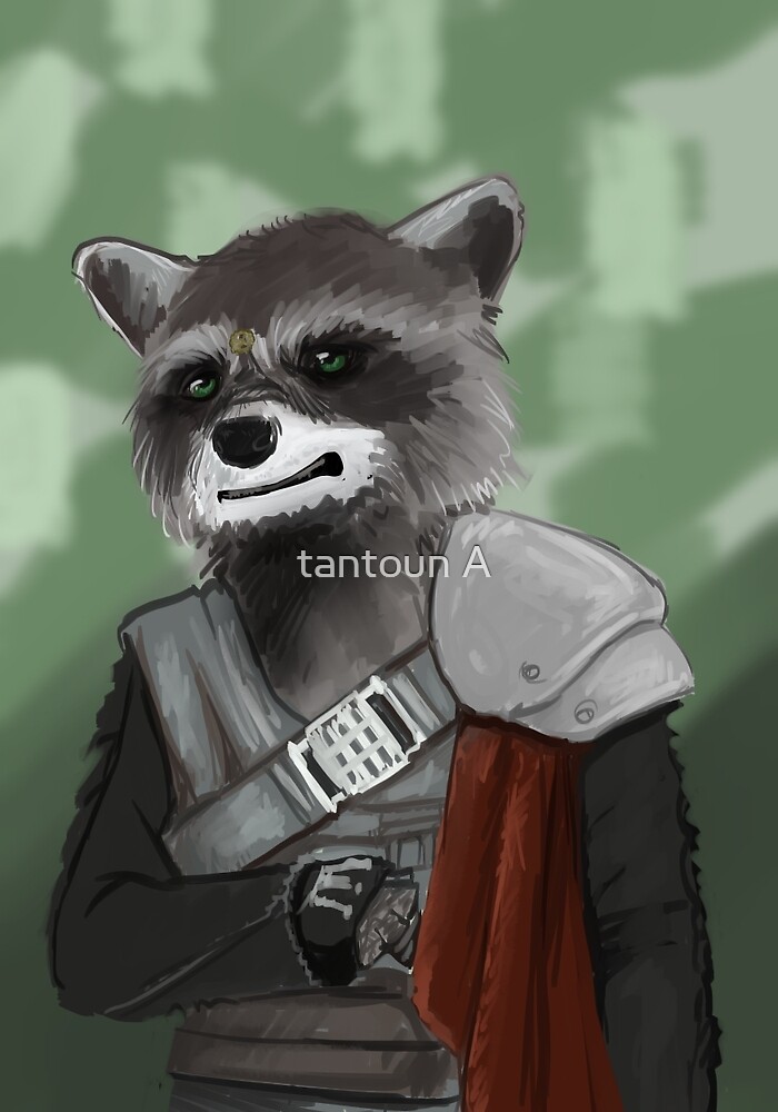 Captain Red Raccoons