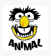 Animal Muppets Photographic Print