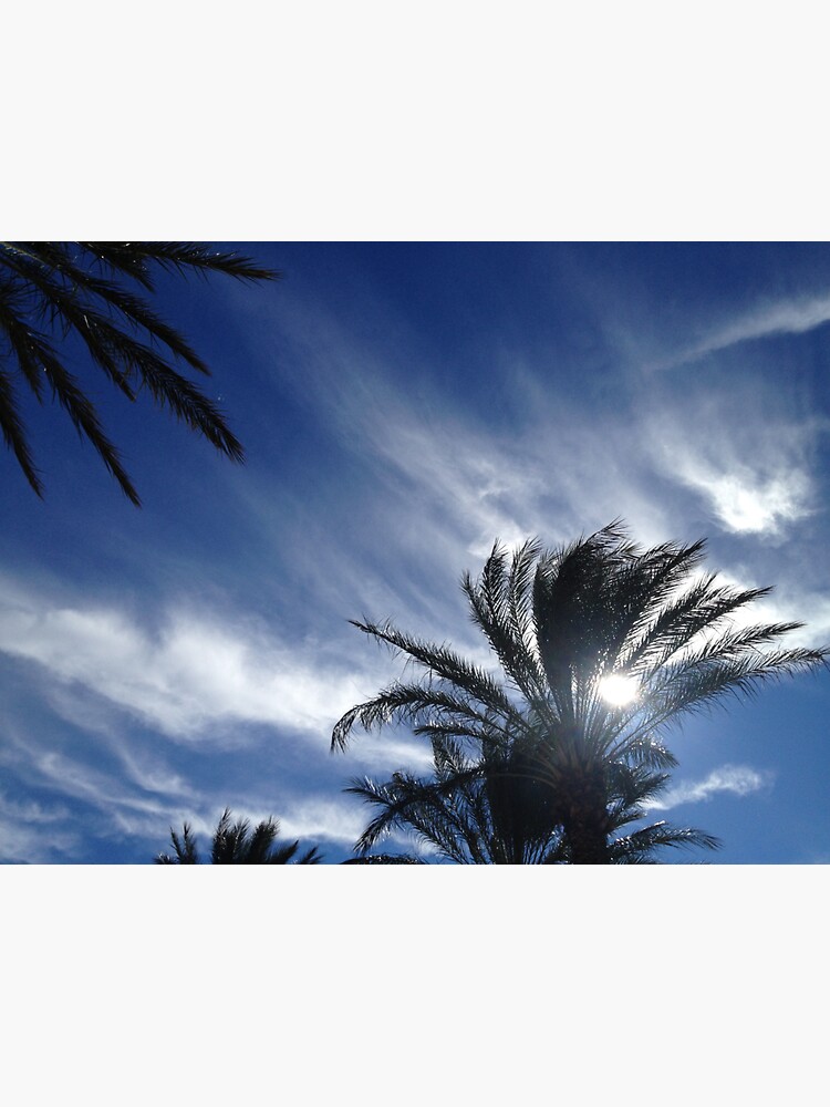 Palm Springs Winter Sky by douglasewelch