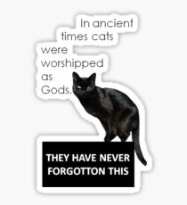 In Ancient Times Cats Were Worshipped As Gods Sticker