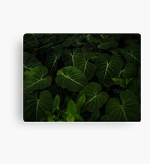 Nature Canvas Print