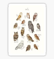 Eulen Sticker