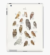 Owls iPad Case/Skin