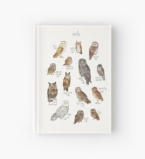 Owls Hardcover Journal