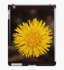 Spring's first little suns iPad Case/Skin