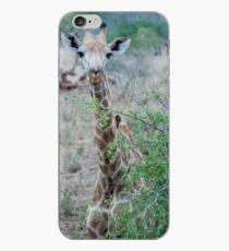 Giraffe iPhone Case