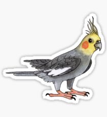 Cockatiel bird Sticker