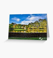 Beautiful Pond at Brookgreen Gardens Greeting Card