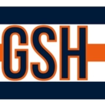 Chicago Bear GSH Essential T-Shirt for Sale by Throk7257