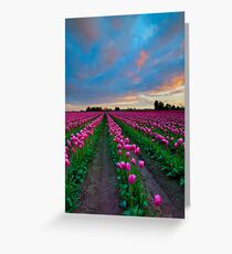 Sunset Pink Greeting Card