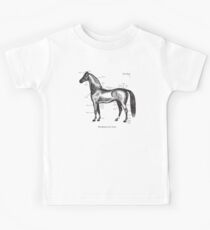 Identifying your horse Kids Tee