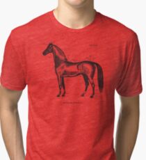 Identifying your horse Tri-blend T-Shirt