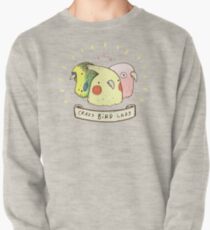 Crazy Bird Lady Pullover