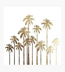 Glamorous Gold Tropical Palm Trees on White Photographic Print